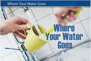 Where Your Water Goes
