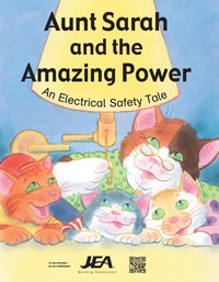 Aunt Sarah and the Amazing Power: An Electrical Safety Tale